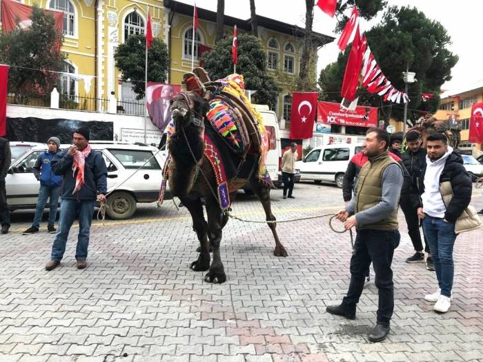 Develer Gövde Gösterisi Yaptı