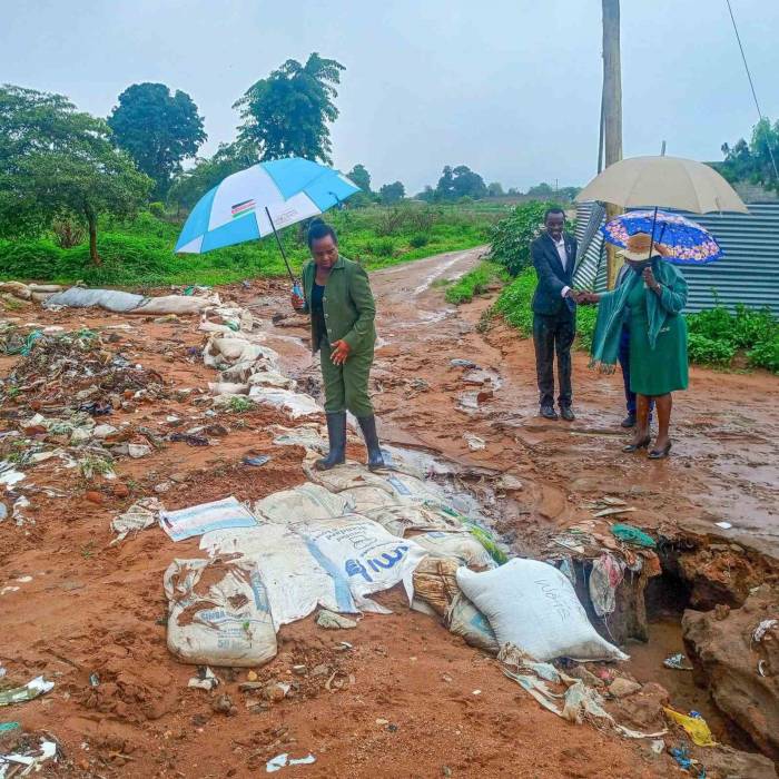 Kenya’da Taşan Nehirden Geçmeye Çalışan 7 Kişi Kayboldu
