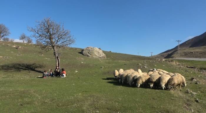 Köyün Tek Öğretmeni, 5 Öğrencisini Geleceğe Hazırlıyor