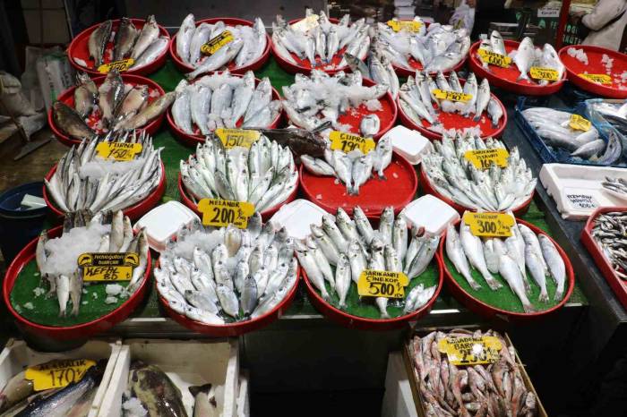 Üç Farklı Denizden Geliyor, Her Çeşit Balık Satılıyor