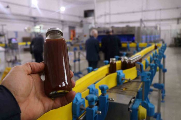 Gümüşhane’nin Şifa Dolu Hazinesi Kuşburnu Nektarı Coğrafi İşaret Aldı