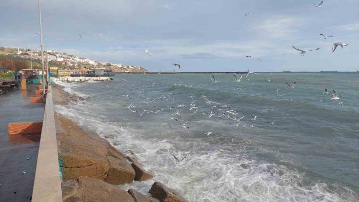 Tekirdağ’da Şiddetli Lodos: Deniz Çalkalanıyor