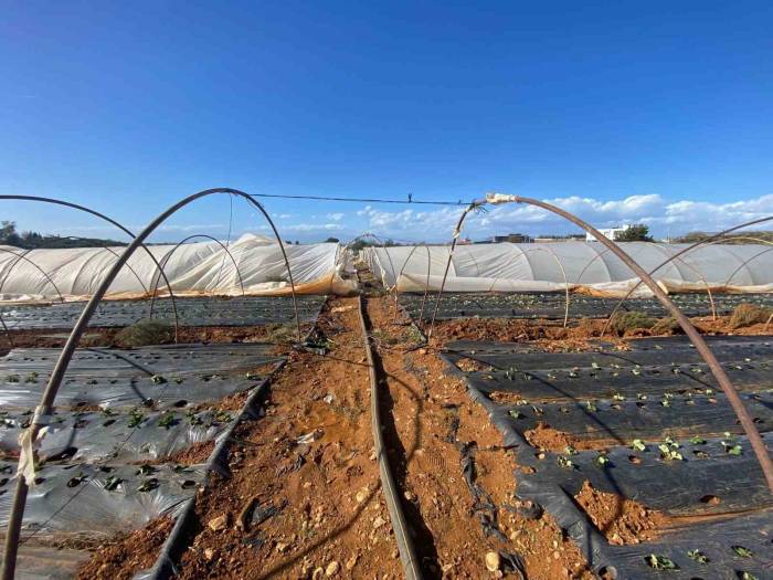 Antalya’da Fırtına Seralara Da Zarar Verdi