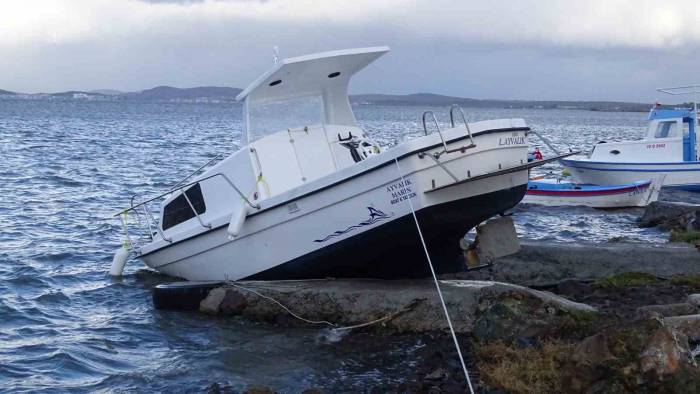 Altınova’da Fırtına Hayatı Olumsuz Etkiledi