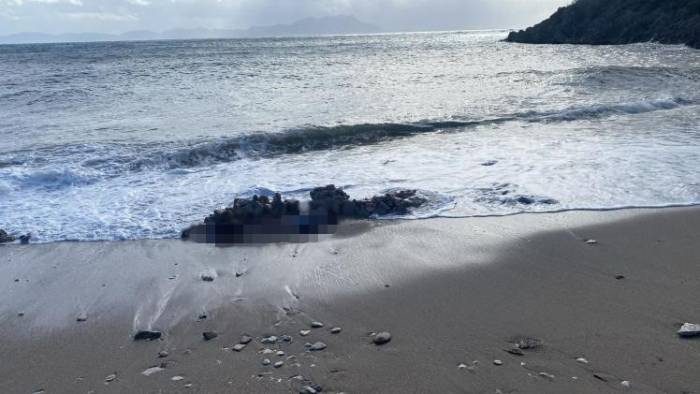 Bodrum’da Denizde Ve Sahilde İki Ceset Bulundu
