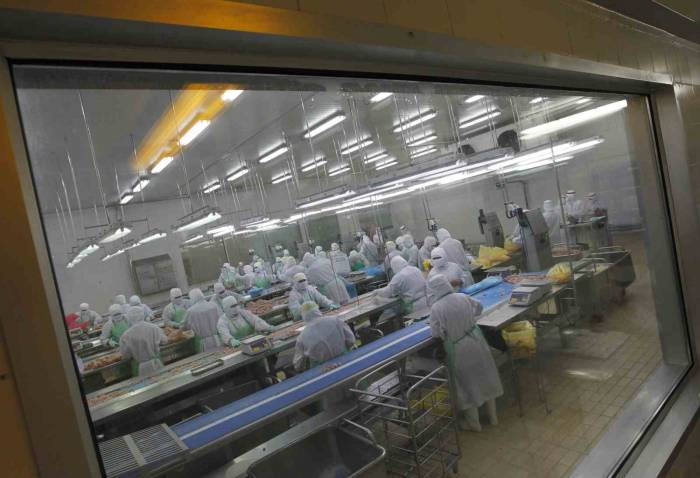 Japonya’da Kuş Gribi Nedeniyle 72 Bin Kümes Hayvanı İtlaf Edilecek