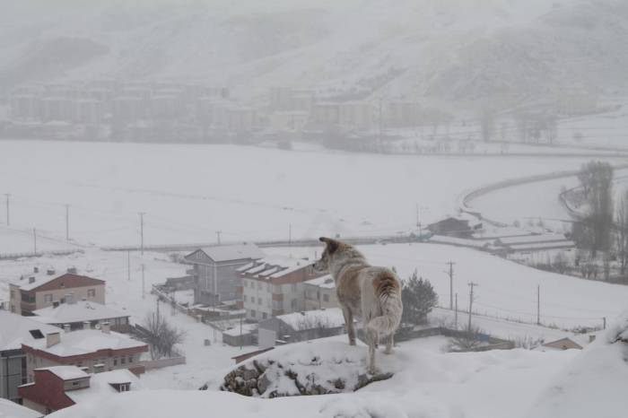 Bayburt’un Yüksek Kesimlerinde Kar Yağışı Etkili Oldu