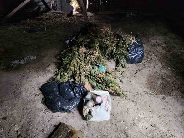 Ahşap Baraka İçerisinde Ve Çevresinde 22 Kilo Esrar İle 425 Kök Kenevir Ele Geçirildi