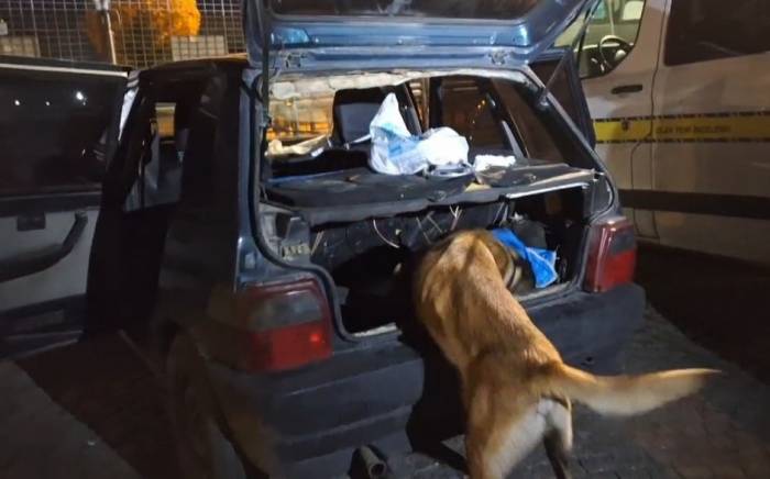 Kütahya’da Araçta Gizlenen Uyuşturucuyu Narkotik Köpeği ’thor’ Buldu