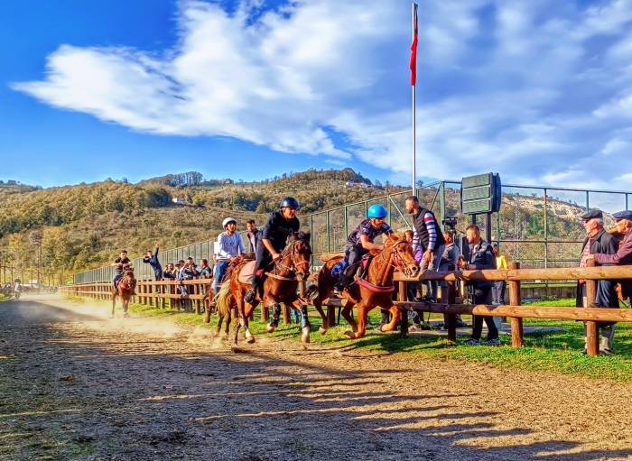 Ordu’da Rahvan At Yarışları Rüzgarı Esti