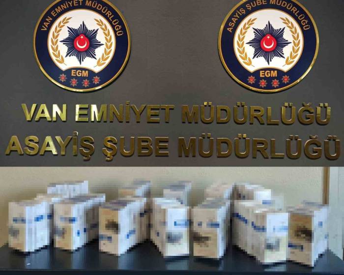Van’da Değişik Suçlardan 20 Kişi Tutuklandı