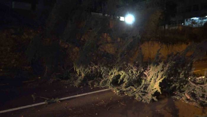 Fırtına Bursa’yı Yıktı Geçti...otobüsün Üzerine Uçan Çatı 2 Yolcuyu Yaraladı