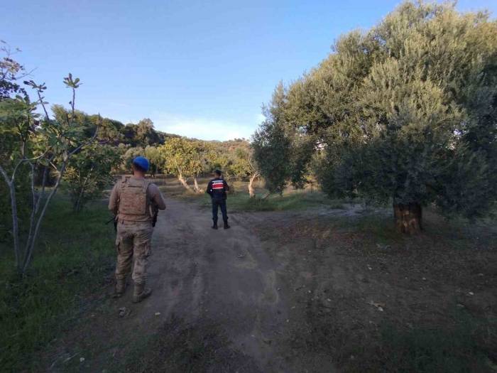 Jandarma Tarımsal Ürün Hırsızlığına Geçit Vermiyor