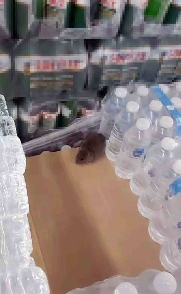 Bim’de Mide Bulandıran Görüntü