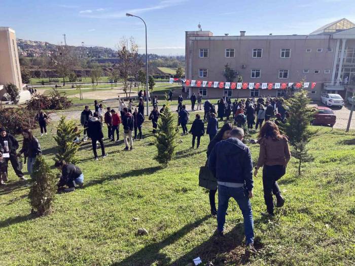 Diktikleri Fidanlara Şehitlerin İsimlerini Verdiler