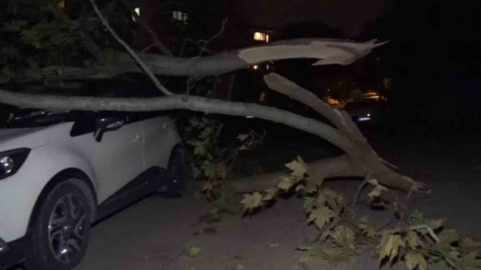 Ağaç Ve Elektrik Direği Araçların Üzerine Devrildi, 2 Araç Hasar Aldı