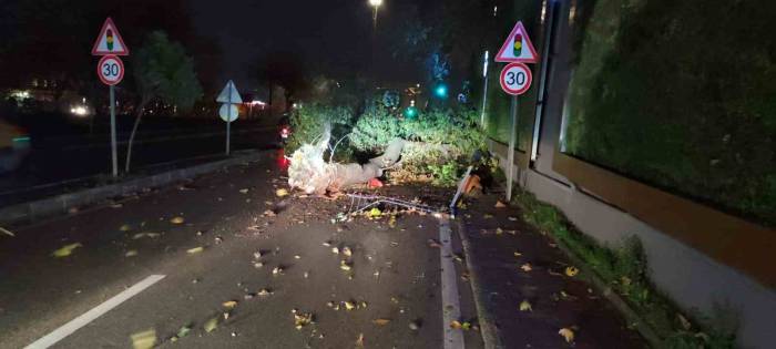 Bursa’da Büyükşehir Ekipleri Sabaha Kadar 607 Olaya Müdahale Etti