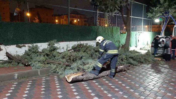 Manisa’da Büyükşehir Ve Maski Ekipleri Fırtına Ve Sağanak Yağış Mesaisinde