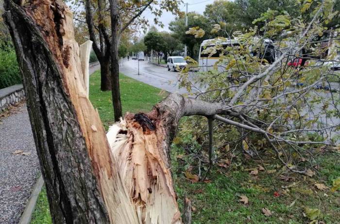 Manisa’da Fırtına Etkili Oluyor