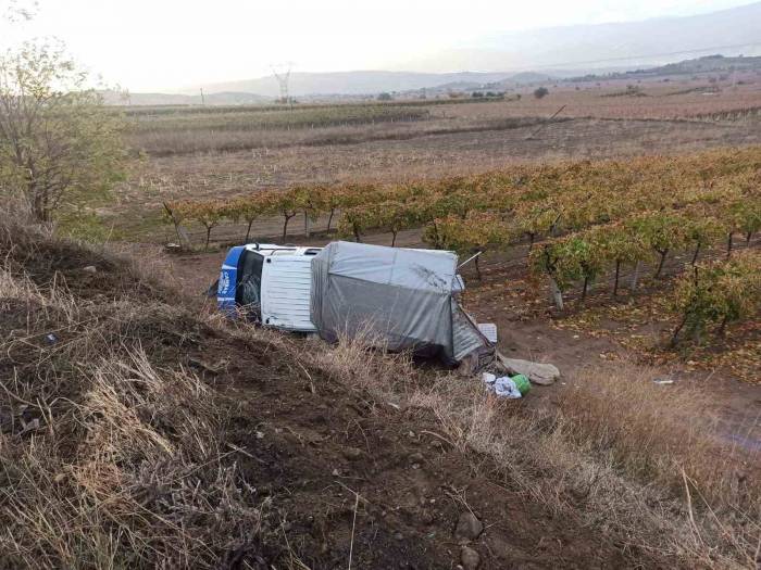 Kontrolden Çıkan Kamyonet Üzüm Bağına Devrildi: 5 Yaralı