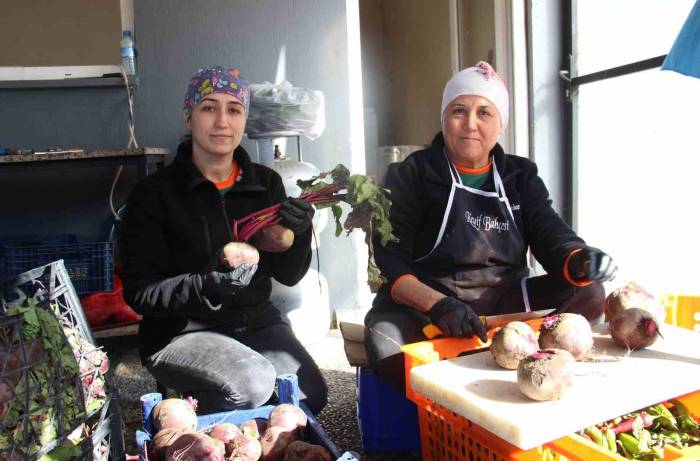 Aydınlı Gıda Mühendisi Pancarın Değerini Arttırdı