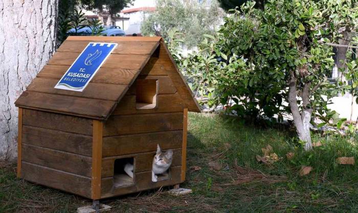 Can Dostların Yuvaları Kışa Hazır