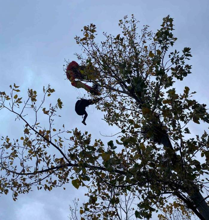 Ağaçta Asılı Kalan Paraşütçüyü İtfaiye Kurtardı