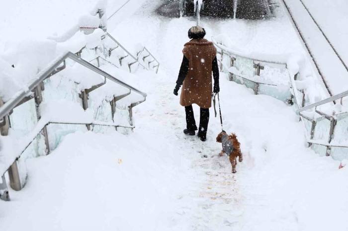 Almanya’nn Güneyinde Yoğun Kar Yağışı