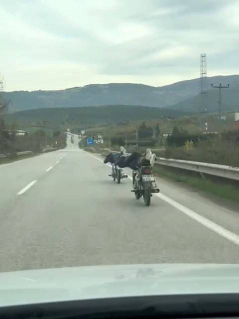 Ölümle Böyle Dans Ettiler: Motosikletin Üzerinde Tehlikeli Yolculuk