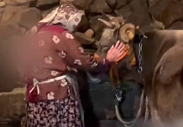 Umreye Gitmek İçin İneğiyle Vedalaşan Erzurumlu Nine Duygulandırmıştı