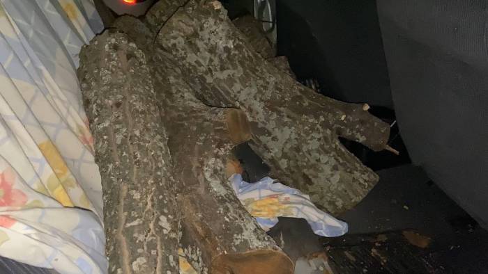 Odun Hırsızı Suçüstü Yakalandı