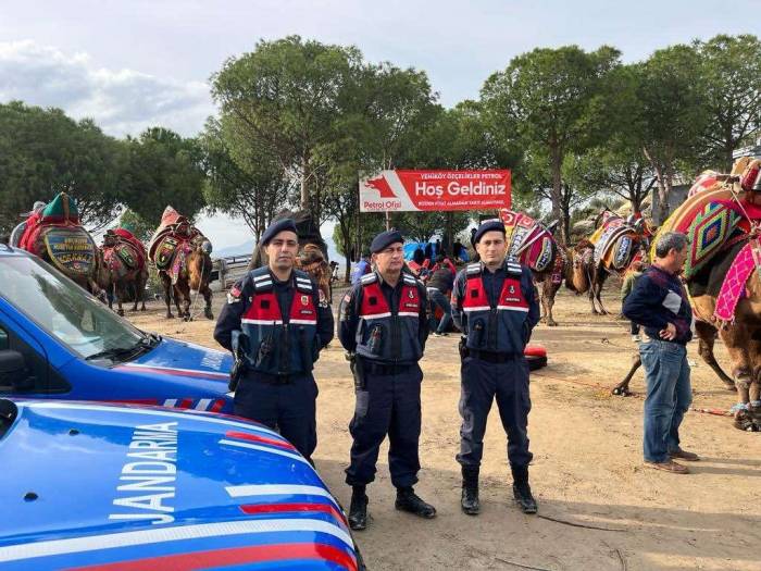 Jandarma Deve Ve Güreşinde Güvenliği Sağladı