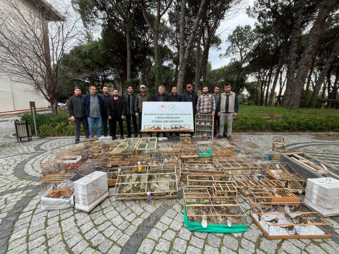 Yasa Dışı Yakalanarak Ticareti Yapılan 902 Kuş Doğaya Bırakıldı