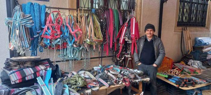 Zeytinde ’yok Yılı’ Urgancıları Zora Soktu