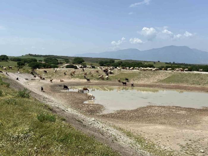 Manisa’ya 9 Yılda 210 His Göleti Yapıldı