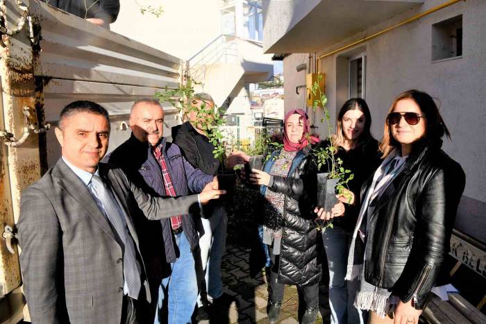 Üreticiye 2 Bin 350 Kuşburnu Fidanı Desteği