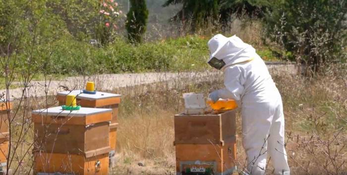 Tuzla’da Arıcılık Kursu’nu Tamamlayan 40 Kursiyer Sertifika Almaya Hak Kazandı