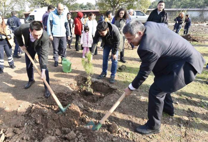 Muğla’da Sağlık Ekipleri Fidanları Toprakla Buluşturdu