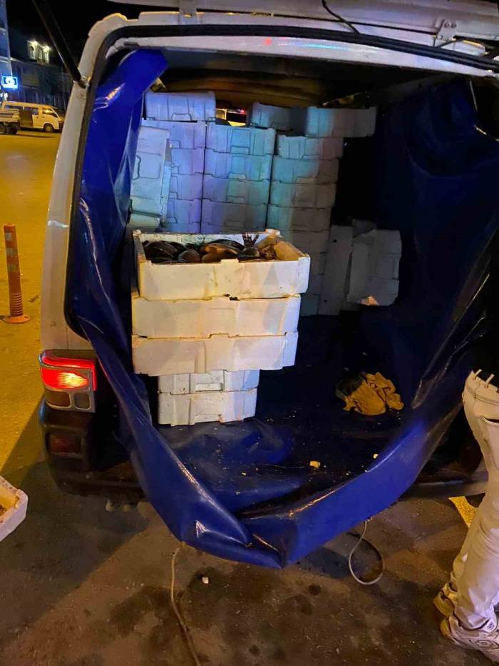 Isparta’da 16 Bin Tl Değerinde Menşe Belgesiz Çin Sazanı Ele Geçirildi