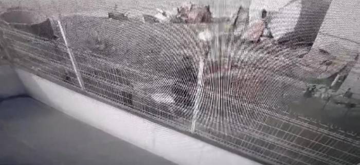 İstanbul’da Köpeğe Şiddet Uygulayan Şahsa 4 Bin 554 Tl Para Cezası
