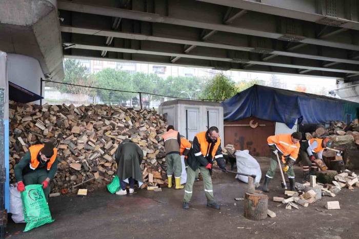Bayrampaşa’da Budanan Ağaçlar Evleri Isıtıyor