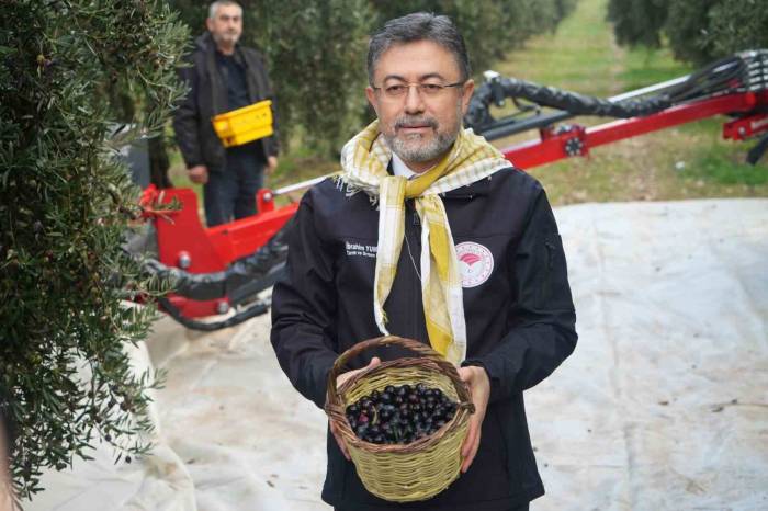 Bakan Yumaklı Açıkladı: "Zeytinyağı Sıkıntımız Yok"