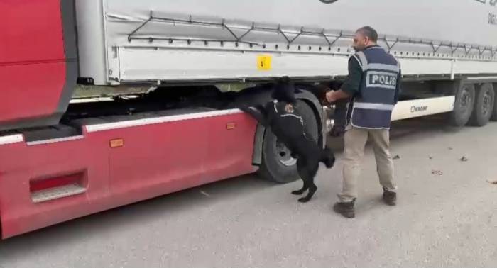 Samsun’da Tırda 3 Kilo 950 Gram Skunk Ele Geçirildi