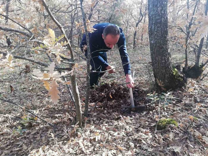 Bitkilerde Faydalı Ve Zararlı Organizma Tespiti Yapıldı