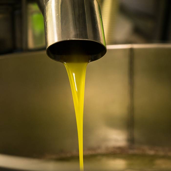 Başkan Çondur Zeytinyağında Taklit Ve Tağşişe Dikkat Çekti