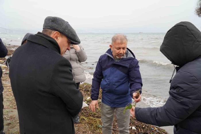 Deniz Çayırları, Gelecek Nesillere Aktarılmalı