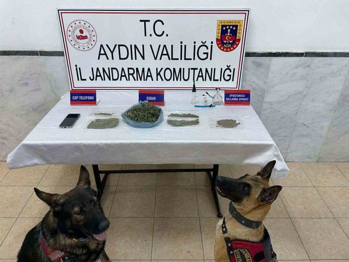 Jandarmadan Uyuşturucu Operasyonu: 22 Yakalama