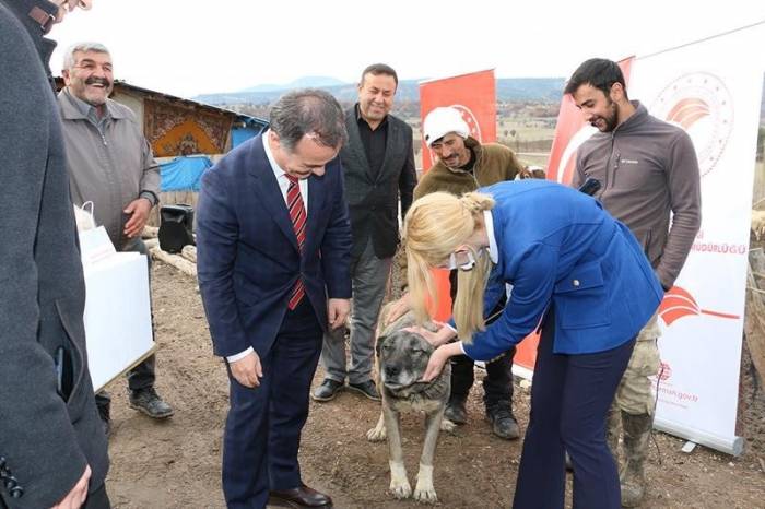 Bu Hastalık Köpeklerden İnsanlara Bulaşıyor