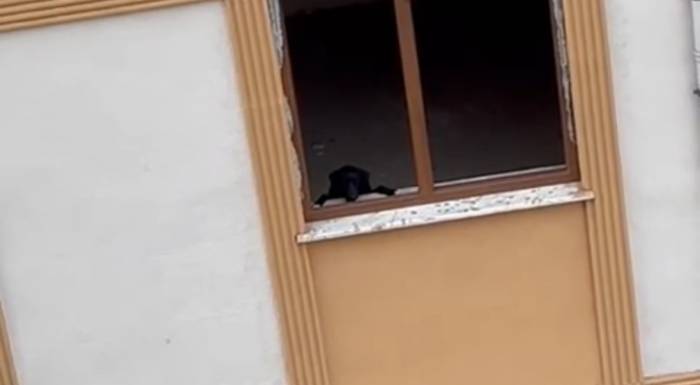 1 Daire 3 Kişiye Satılınca 15 Yıldır Yıkılamayan Binada Köpek Kurtarma Çalışması Yapıldı