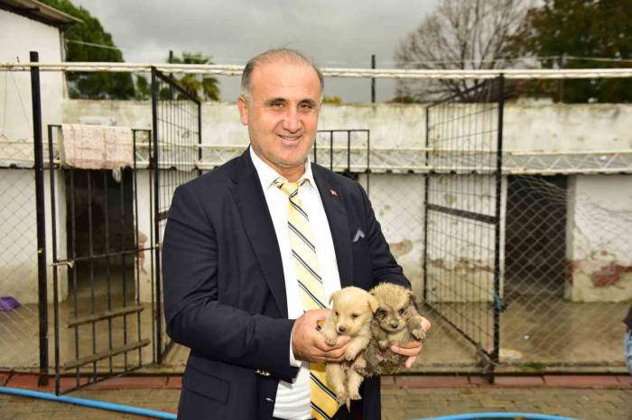 İncirliova’da Sokak Hayvanlarına Sıcak Yuva